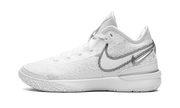 Zoom Lebron NXXT Gen "White / Metallic Silver" DR8784 101