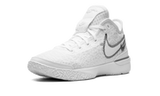 Zoom Lebron NXXT Gen "White / Metallic Silver" DR8784 101