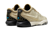 LeBron 21 "The Shop - Metallic Gold" FZ7883 700