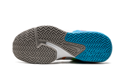 LeBron Witness VII "Grey Fog Multi-Color" DM1123 003