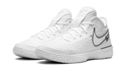 Zoom Lebron NXXT Gen "White / Metallic Silver" DR8784 101