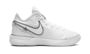 Zoom Lebron NXXT Gen "White / Metallic Silver" DR8784 101